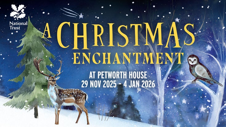 A Christmas Enchantment at Petworth House